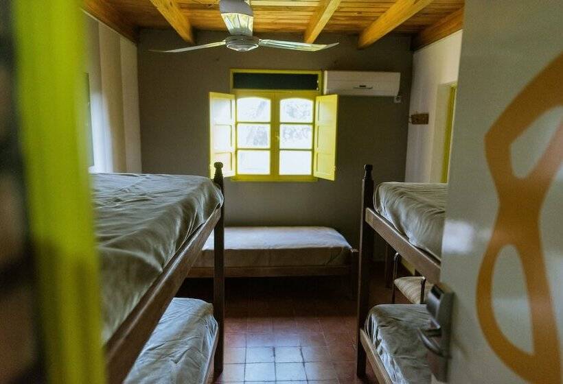 공동 객실, Hostel Valle Fertil
