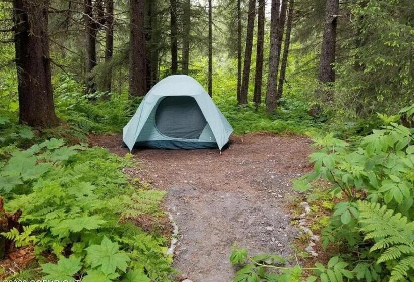 Standard Tent, Bear Necessities Alaska