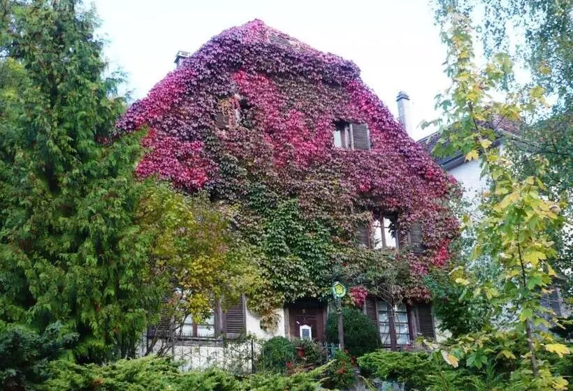 Superior-huone, B&b De Charme La Maison Des 5 Temps