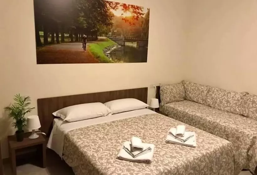 اتاق استاندارد چهار تخته, Bed & Bike
