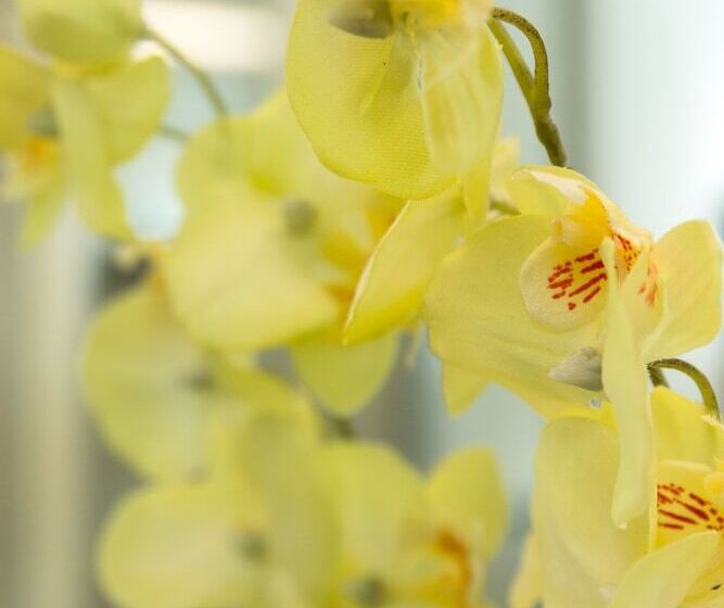 Номер Комфорт Индивидуальный, Six