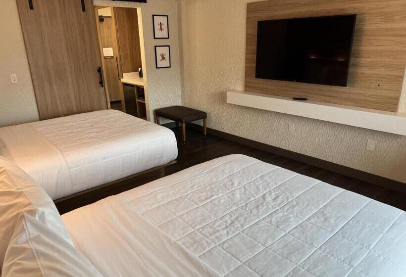 Номер Стандарт, Wyndham Garden Redwood Valley   Ukiah