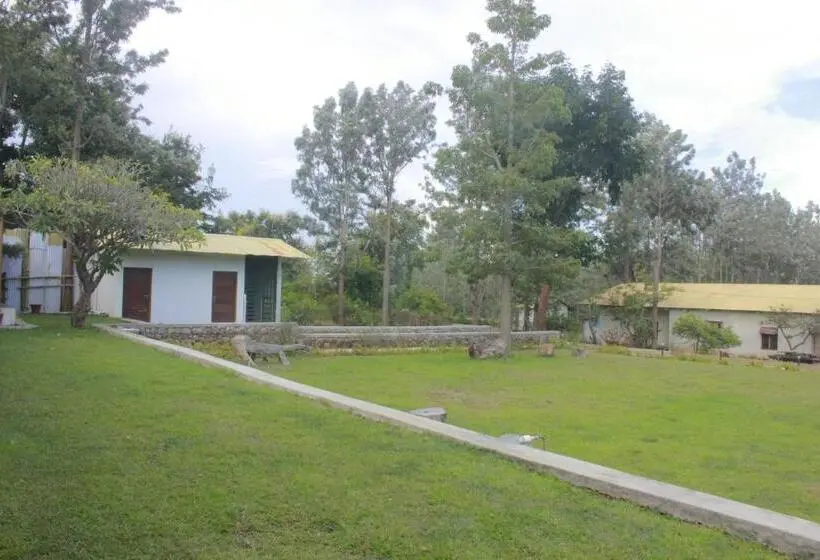 Sviitti, Singaras Coffee Country