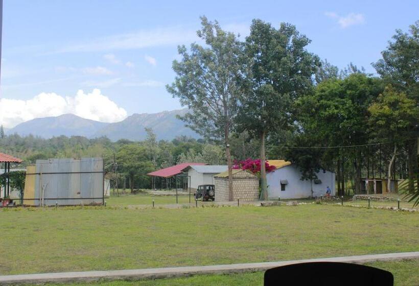 四人豪华间, Singaras Coffee Country