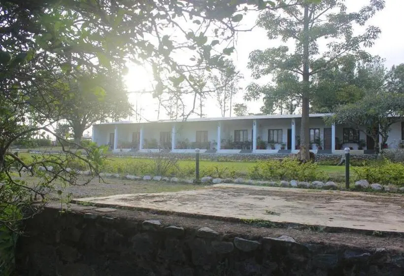 Deluxe Kolmen Hengen Huone, Singaras Coffee Country