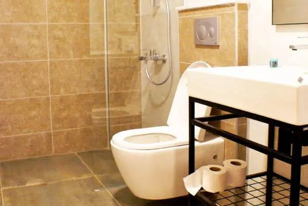 Standard-huone, Gülhan City Otel