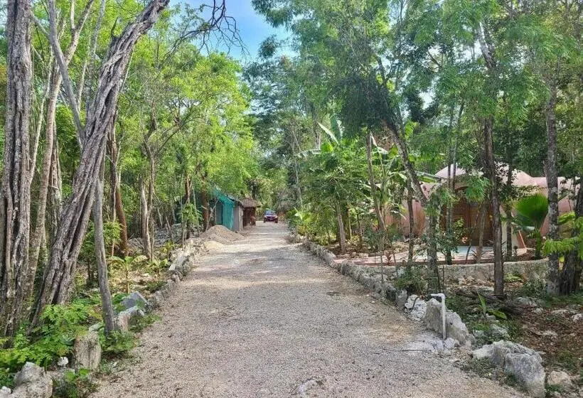 Standard-huone, Room In Lodge   Ecolush Couple Mayan Dome Cenote Bikes