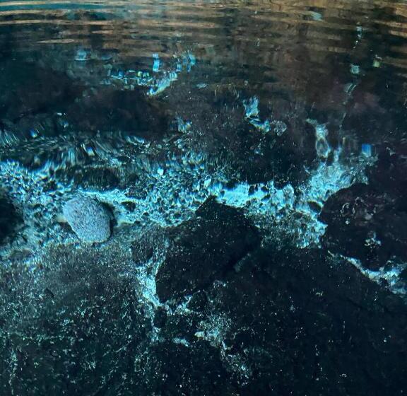 חדר סטנדרט, Room In Lodge   Ecolush Couple Mayan Dome Cenote Bikes