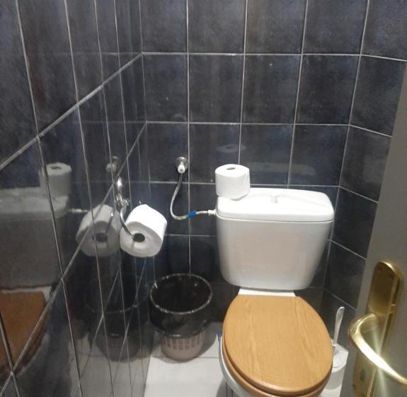 اتاق استاندارد با سرویس بهداشتی مشترک, Saradis