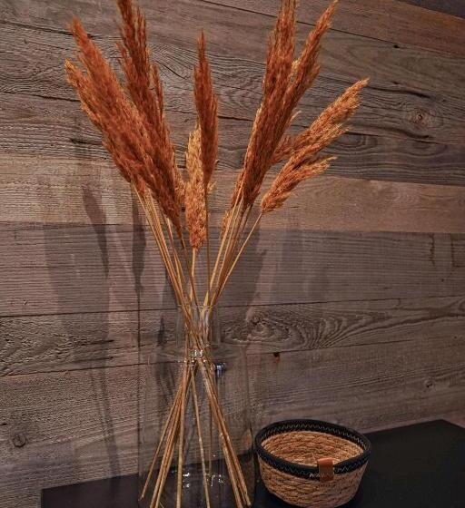 带1个卧室的高级公寓, Elements By Heigenhauser