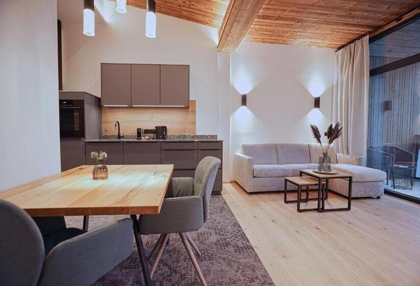 带1个卧室的公寓, Elements By Heigenhauser