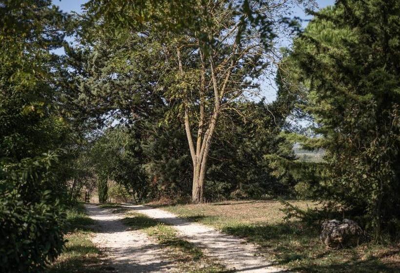 آپارتمان سوپریور 1 خوابه, Sasso Bianco