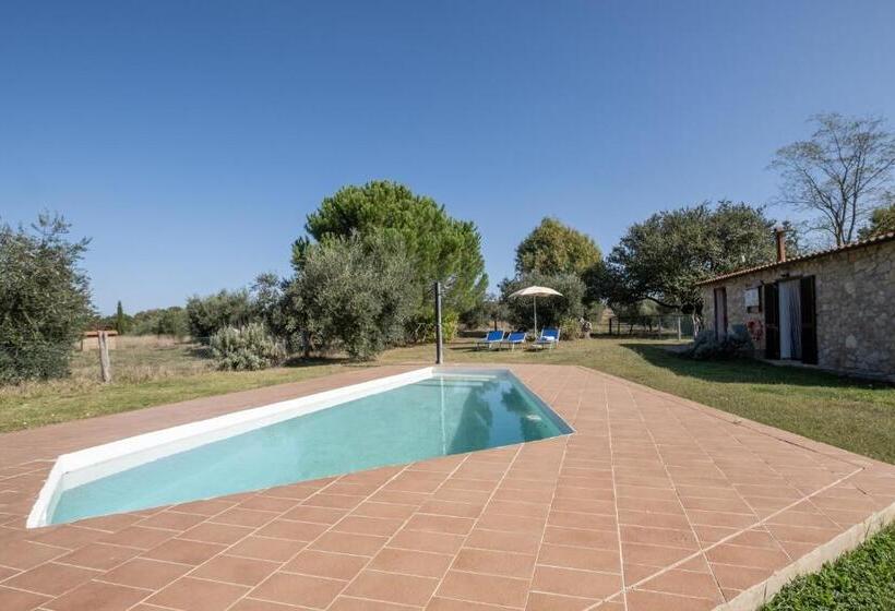 آپارتمان سوپریور 1 خوابه, Sasso Bianco