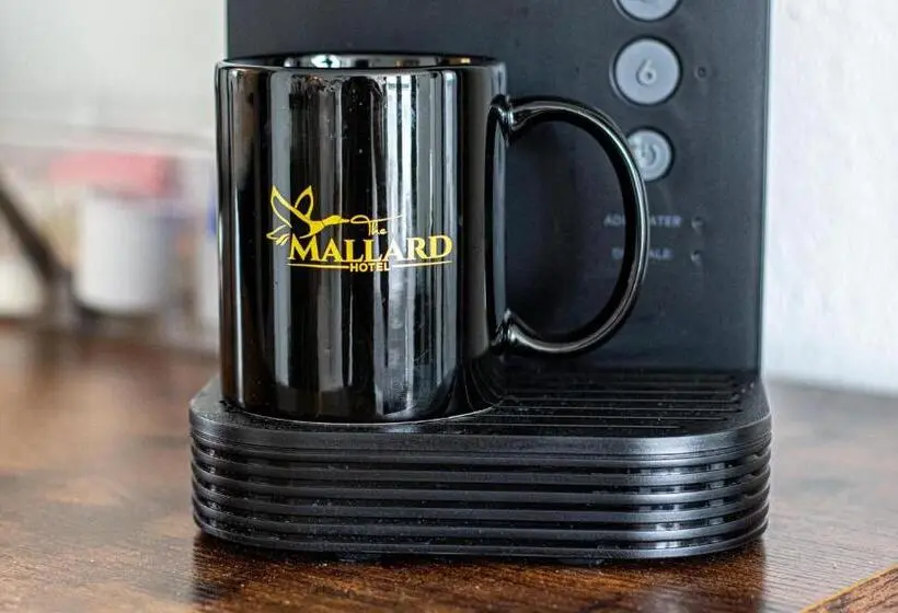 キングサイズベッドのスイートルーム, The Mallard Hotel & Suites