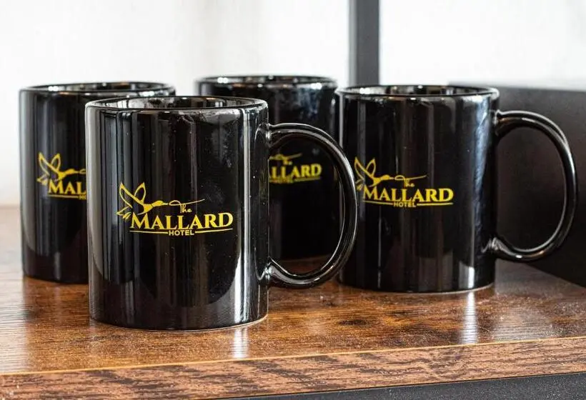 キングサイズベッドのスイートルーム, The Mallard Hotel & Suites