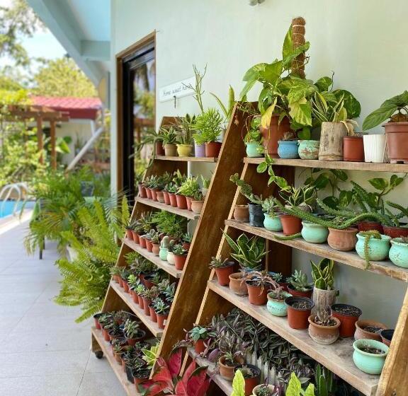 اتاق لوکس با تخت بزرگ, Moalboal Lrs Lovers Nest