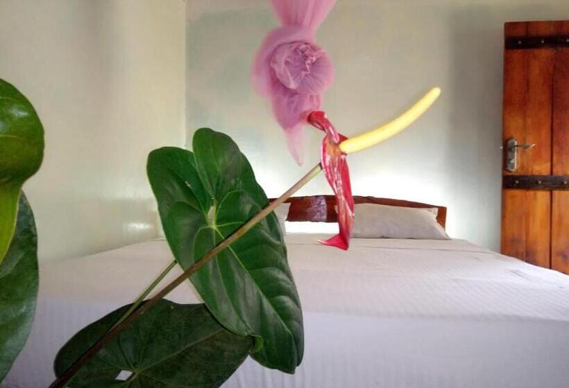 エコノミールーム, Eiffin Moon Ella