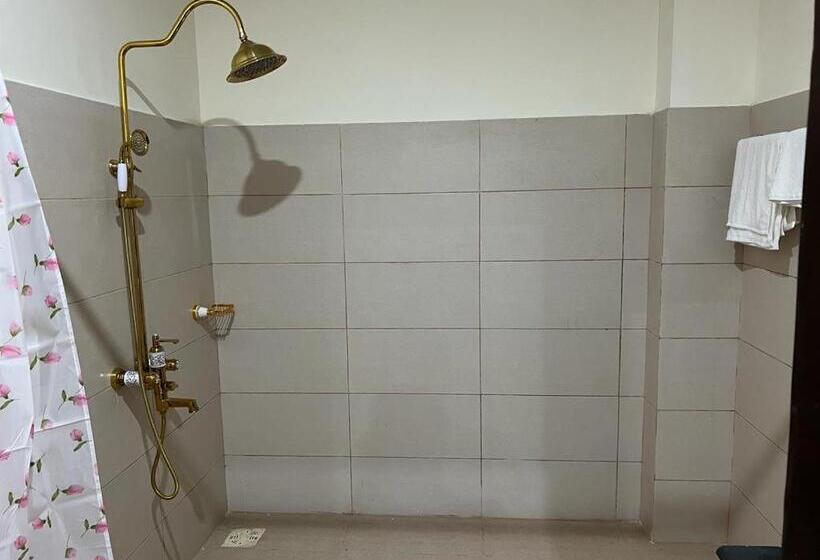 اتاق لوکس, Niagara Falls Bahawalpur