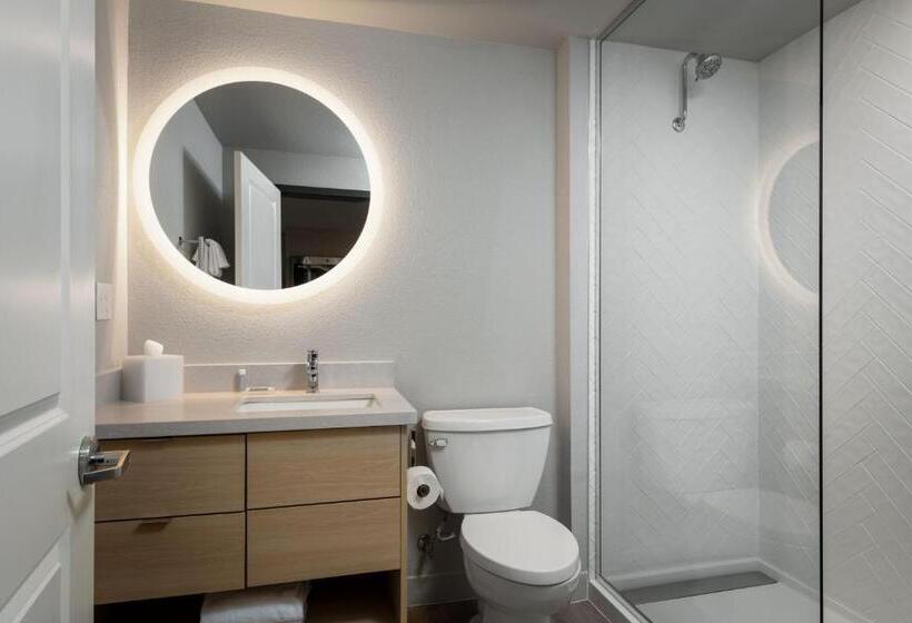 带大床的标准工作室, Towneplace Suites By Marriott Denver North Thornton