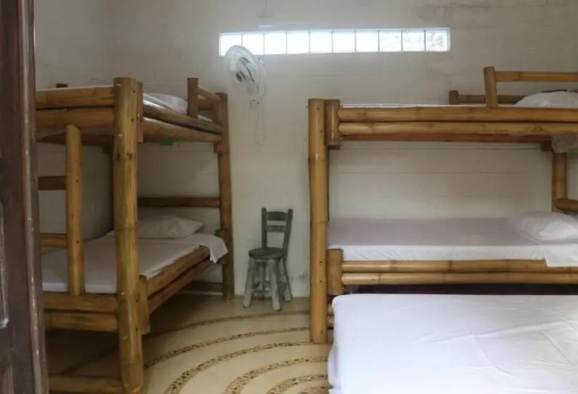 ルームシェアのワンベッド, Afro Hostel