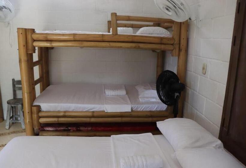 공동 객실, Afro Hostel