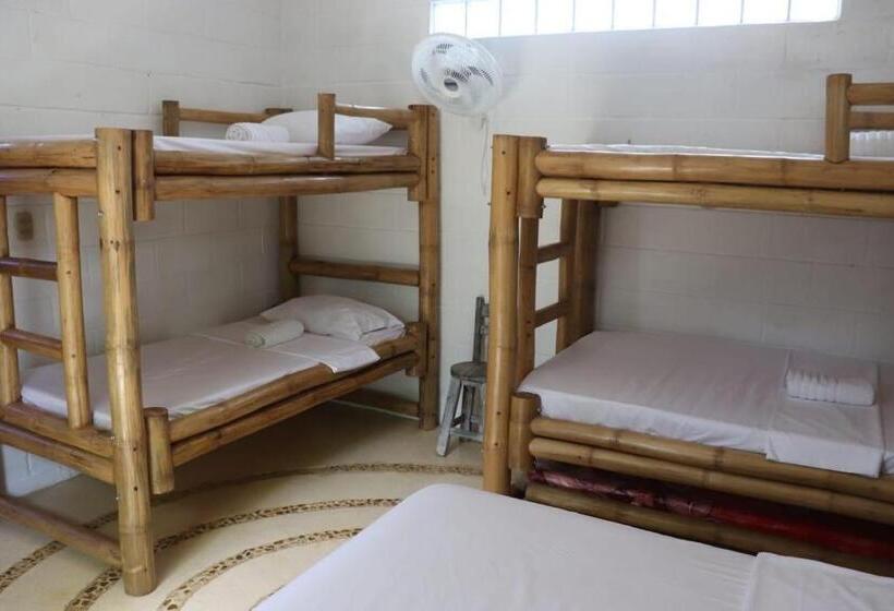 מיטה בחדר משותף, Afro Hostel