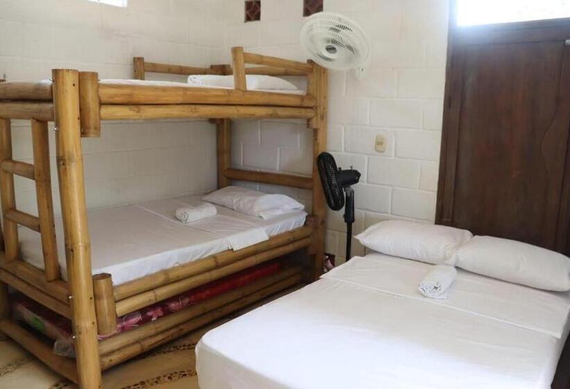 מיטה בחדר משותף, Afro Hostel