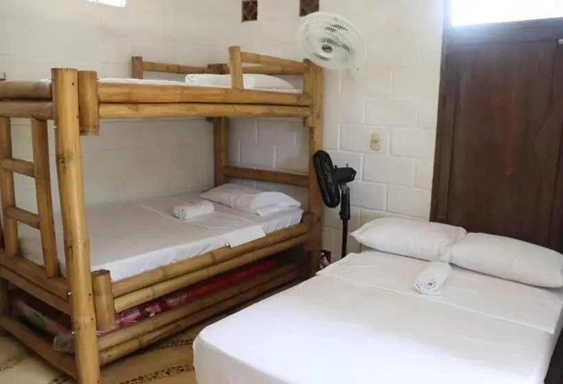 ルームシェアのワンベッド, Afro Hostel