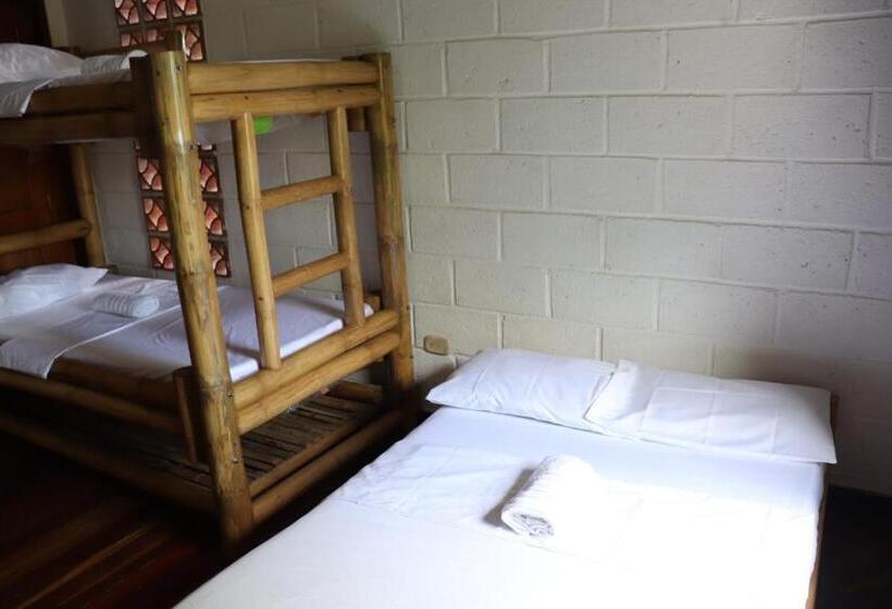 מיטה בחדר משותף, Afro Hostel