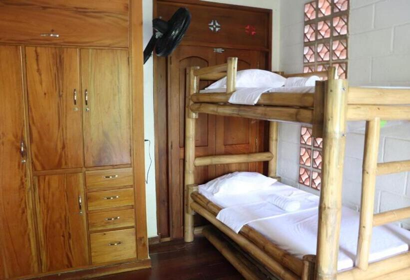 מיטה בחדר משותף, Afro Hostel