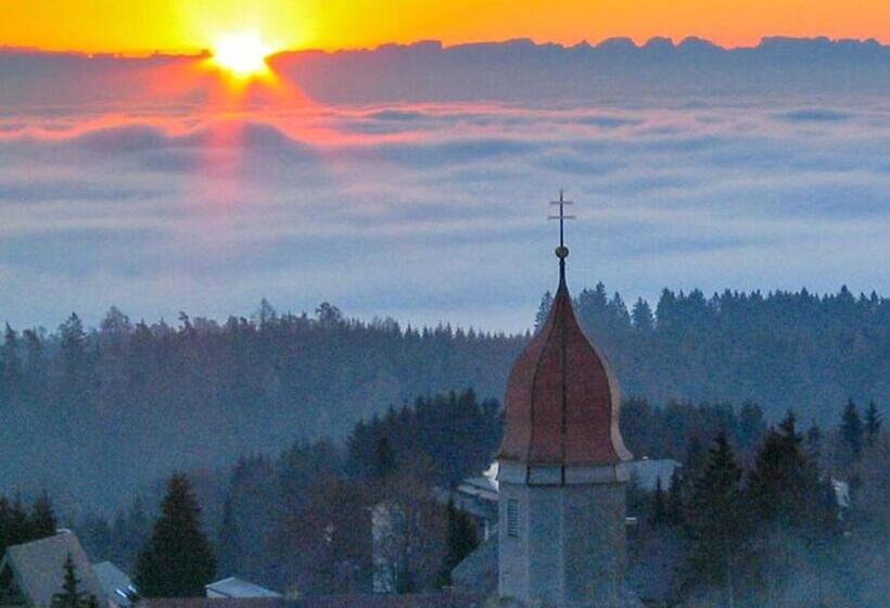 Номер Стандарт Индивидуальный, Landhotel Dorfschmiede Konditorei Café Restaurant