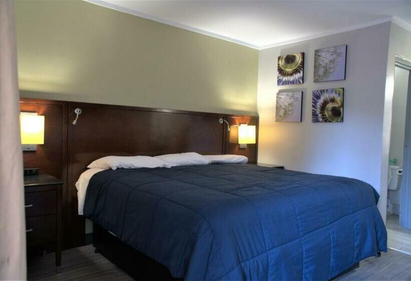 带大床的标准间, Eastern Shore Motel