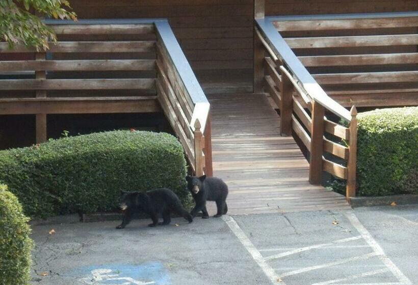 Вилла 2 Спальни, Country Hideaway At Mountain Lakes Resort