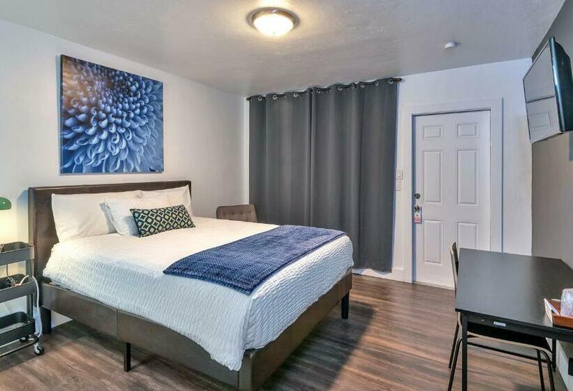 스탠다드 룸, Oasis