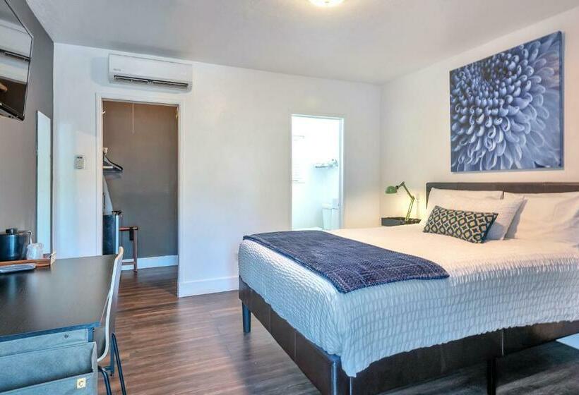 스탠다드 룸, Oasis