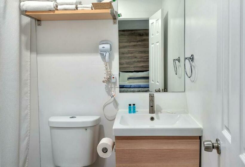 스탠다드 룸, Oasis