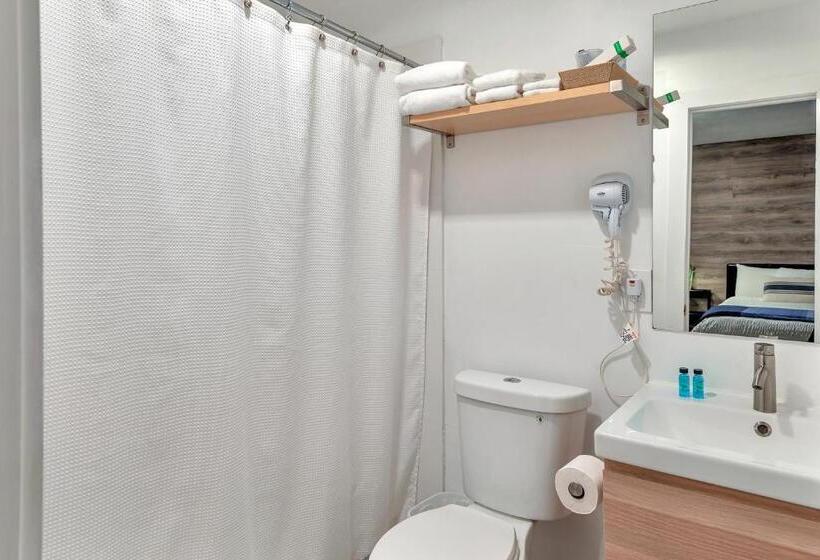 스탠다드 룸, Oasis