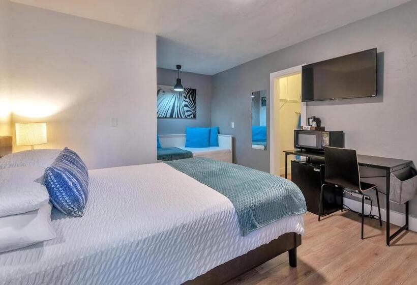 스탠다드 스튜디오, Oasis