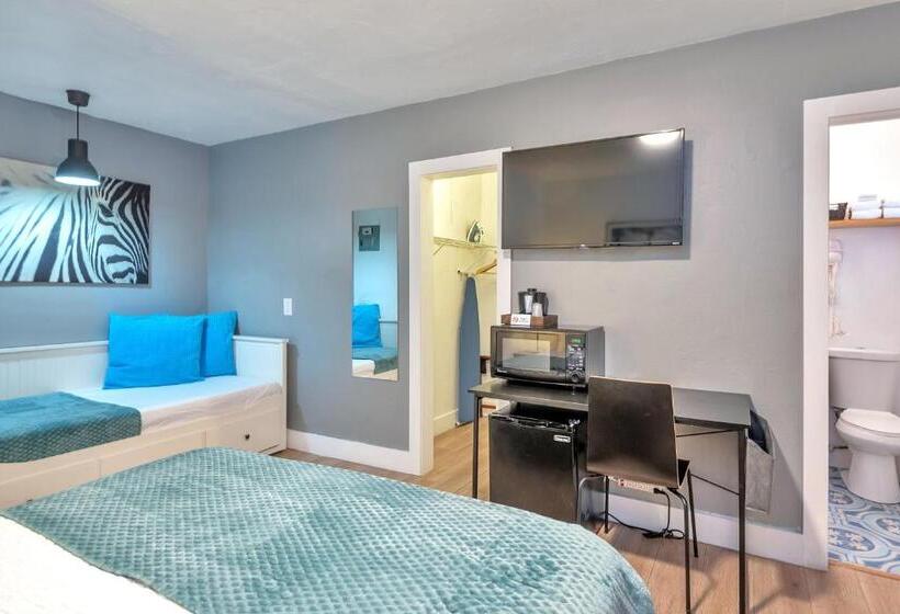 스탠다드 스튜디오, Oasis