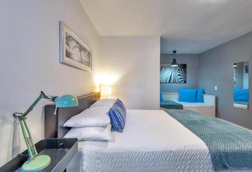 스탠다드 스튜디오, Oasis