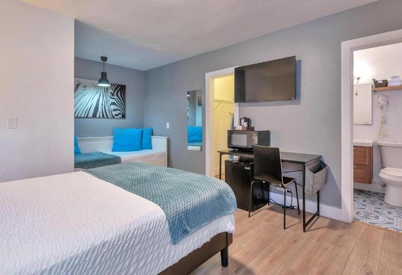 스탠다드 스튜디오, Oasis