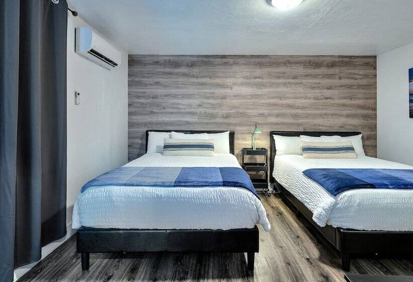 스탠다드 룸, Oasis