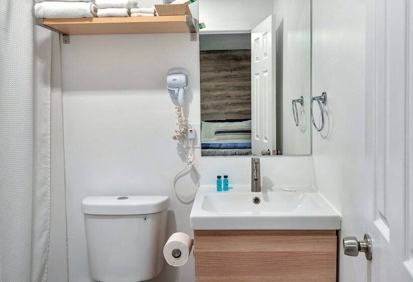 스탠다드 룸, Oasis