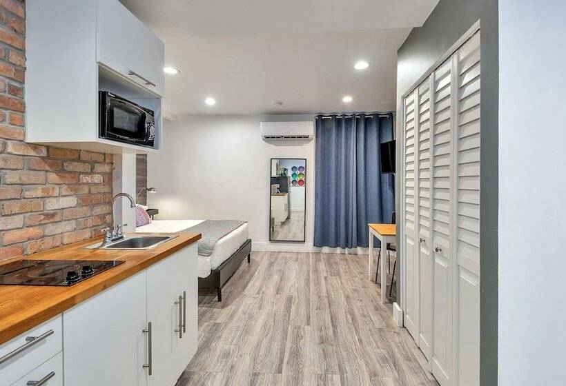 스탠다드 스튜디오, Oasis