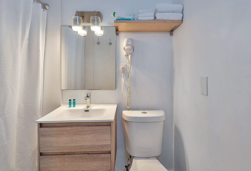 스탠다드 스튜디오, Oasis