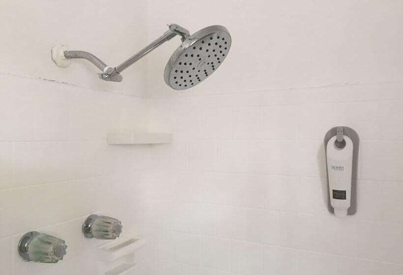 스탠다드 룸, Oasis