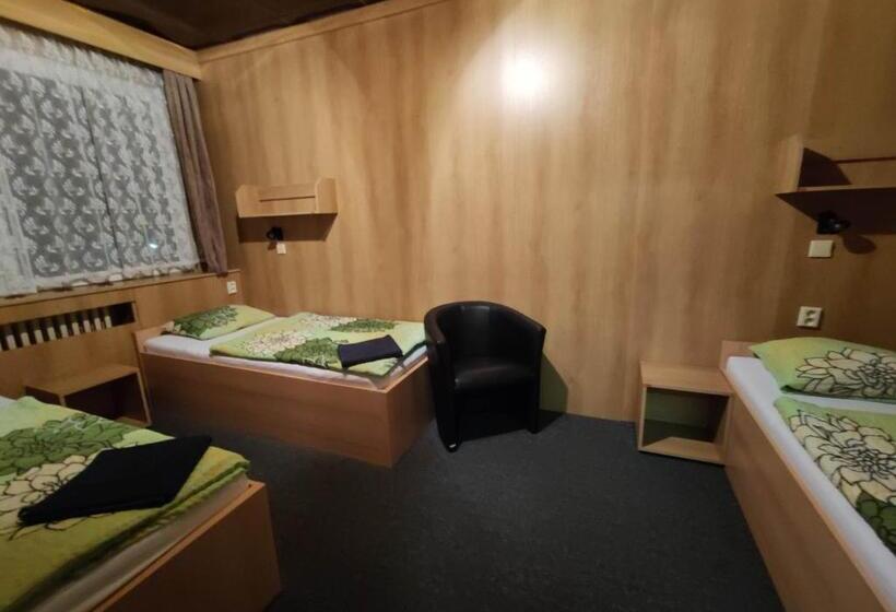 スタンダードトリプルルーム, Zimní Stadion Slaný