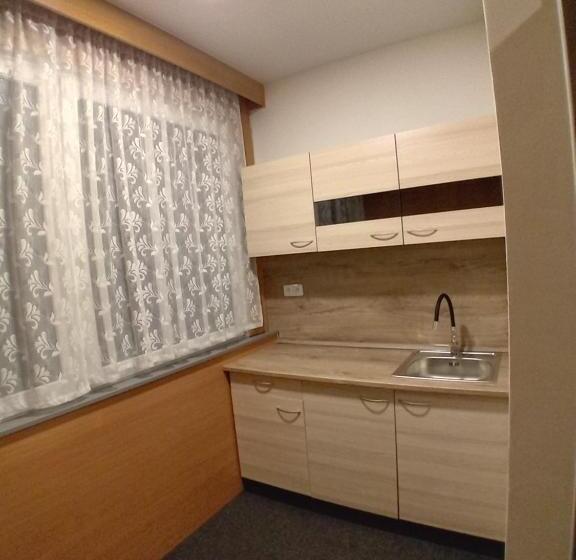 スタンダード4人部屋, Zimní Stadion Slaný