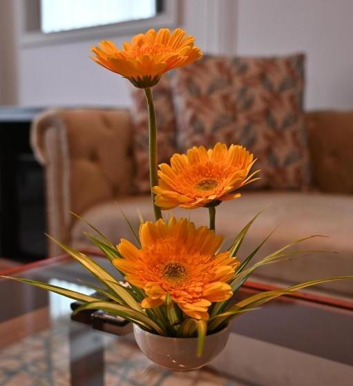 سوئیت با تخت بزرگ, Soot