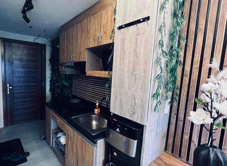 استودیوی استاندارد, The Stark Lounge